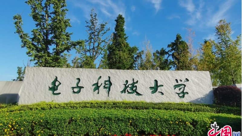 嵌入式毕业设计选题：如何把握行业脉搏，开启创新之旅