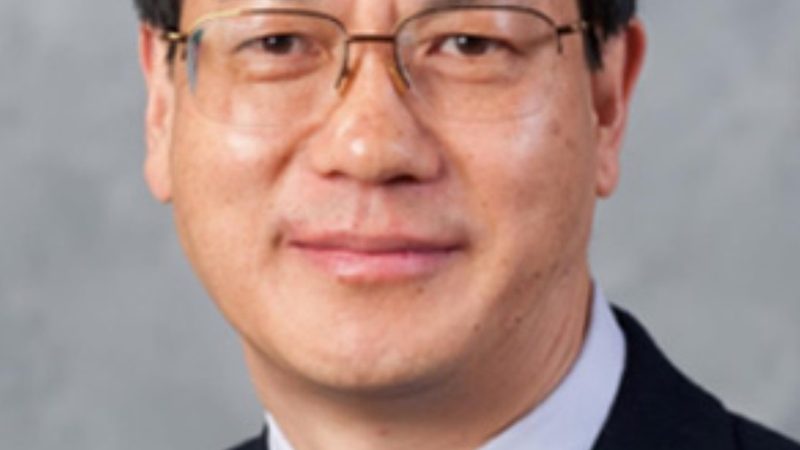 解码集成电路型号：揭秘查询技巧与要点