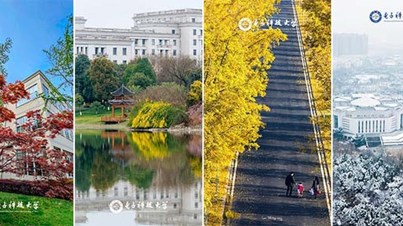 焊接温度设定：线路板制造中的关键一环**